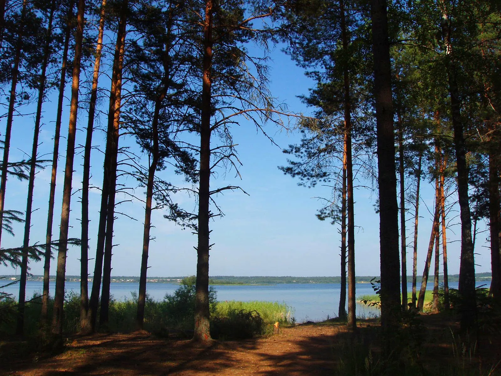 Белозерский район